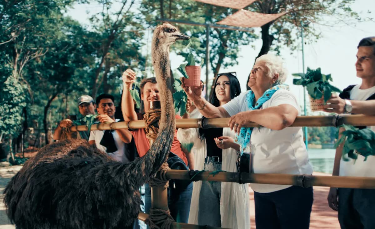 Tourism & hospitality