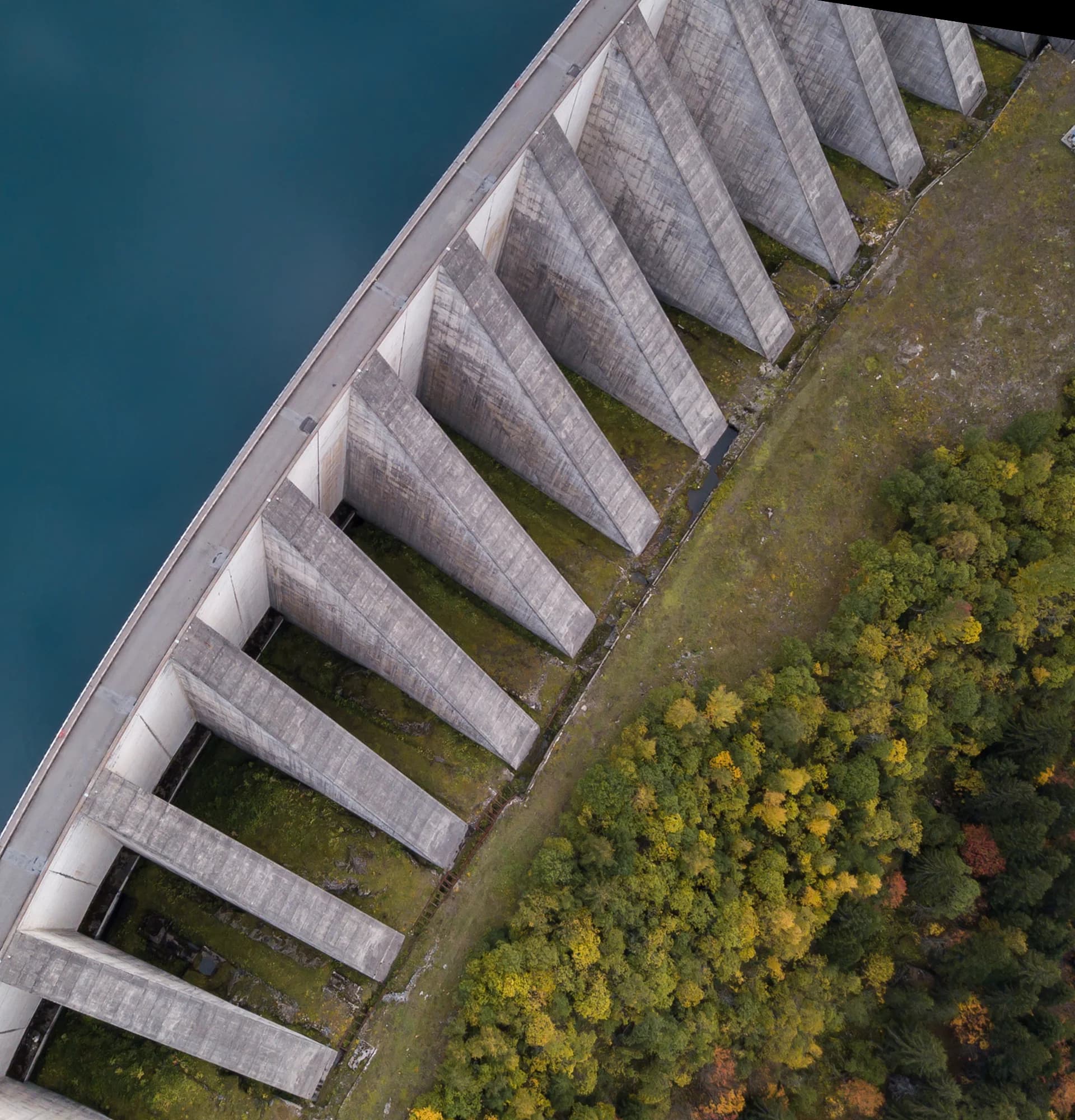 01KC2D7YHDYK6F089PPNTJE5MD