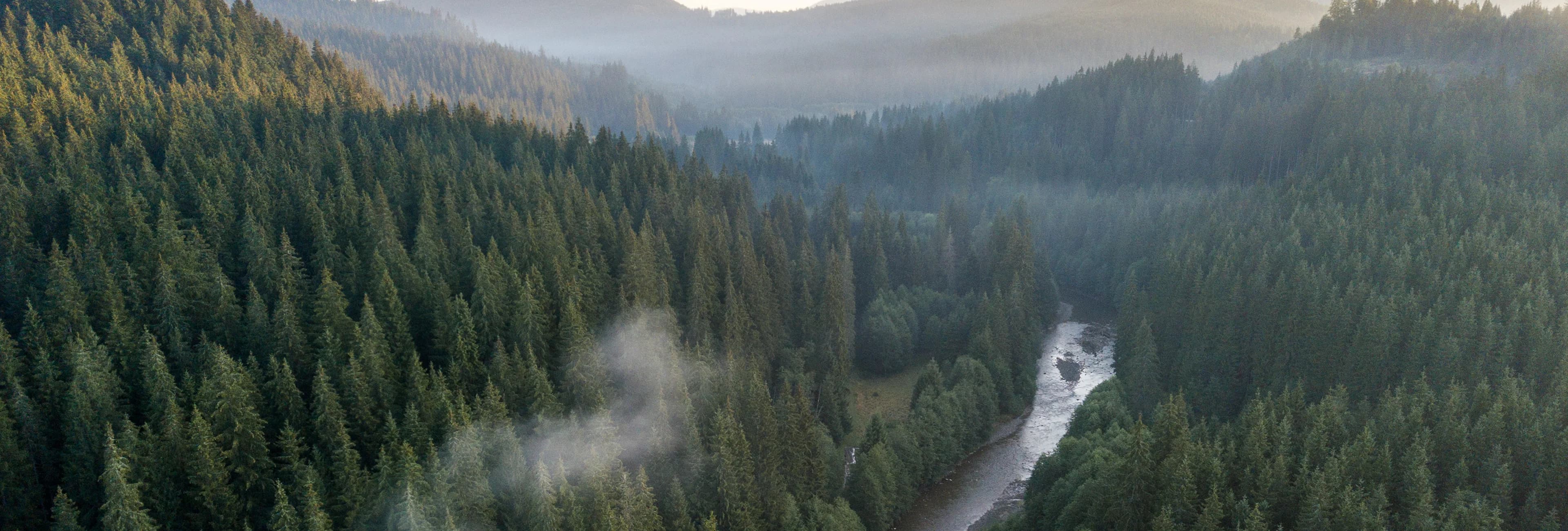 01KC2FCTQP4Q8R7080G7HS7C56