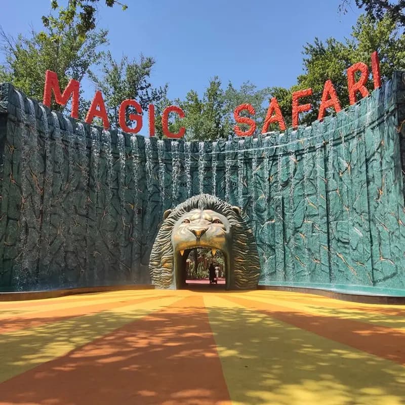 Magic Safari